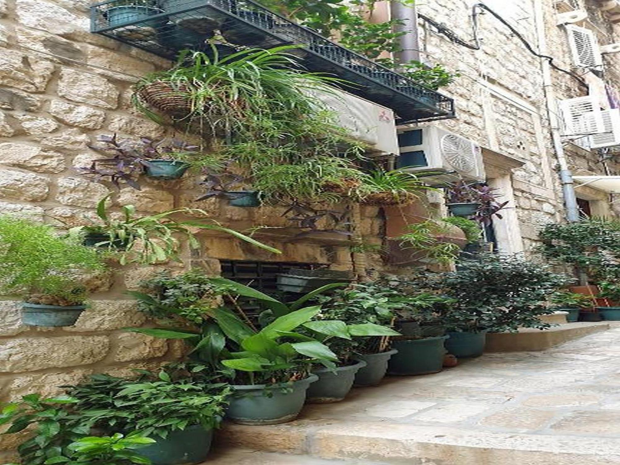 Pk Apartment Dubrovnik Ruang foto