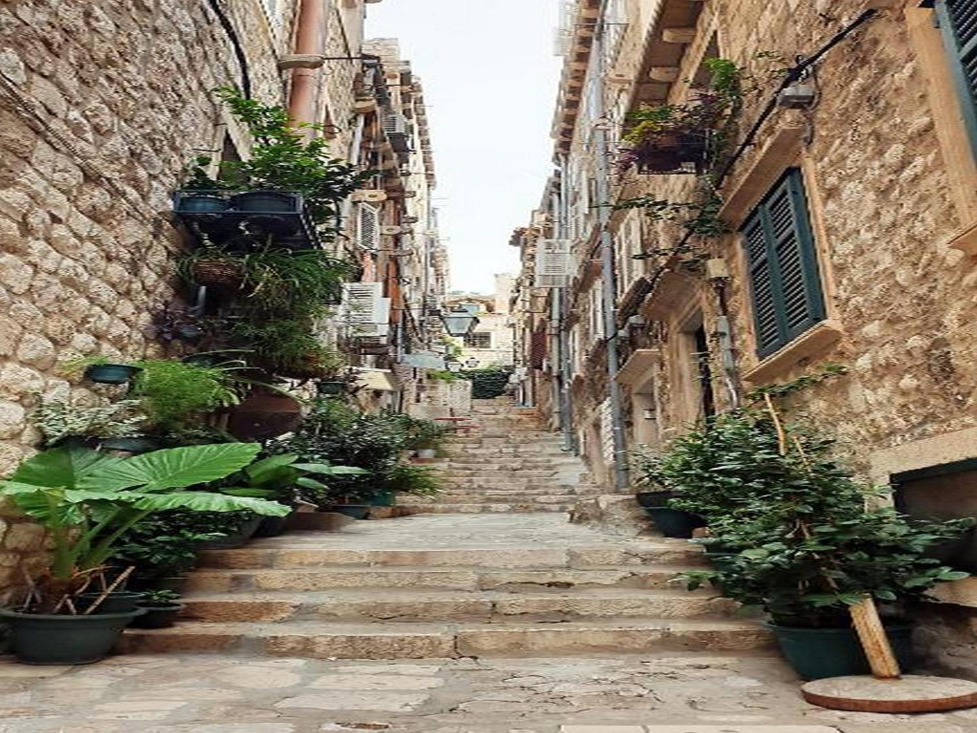 Pk Apartment Dubrovnik Ruang foto